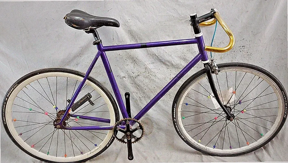 2010 1/8 inch FlipFlop Fixed Gear Bike 57cm Medium Fixie SS Steel Purple ShipsUS