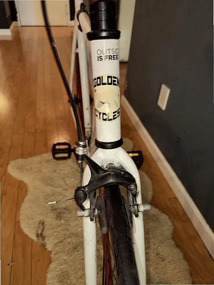 Fixed Gear Bicycle 29cm